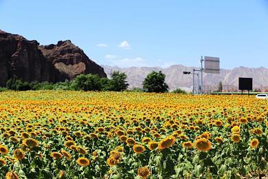 《战神：诸神黄昏》PC版7号更新档发布 修复多项BUG